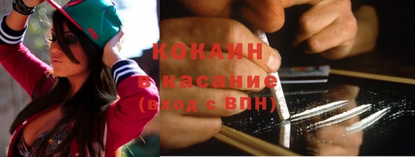 бошки Алексин