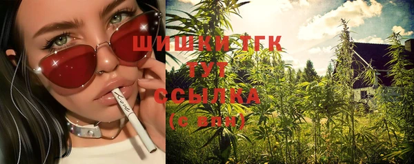 бошки Алексин