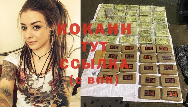 прущий лед Алзамай