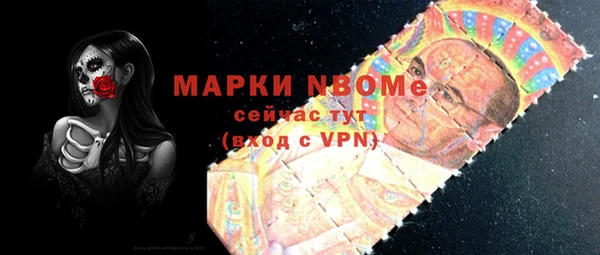 прущий лед Алзамай